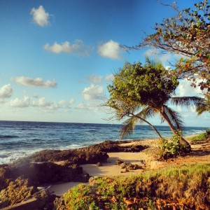 Wilderness, Aguadilla, PR