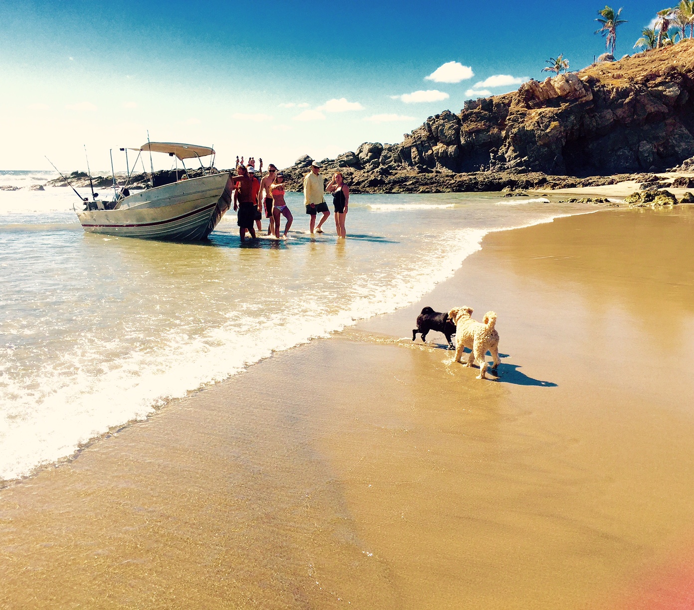 Surf Travel Todo Santos, Baja, Mexico Surf Mei Mei