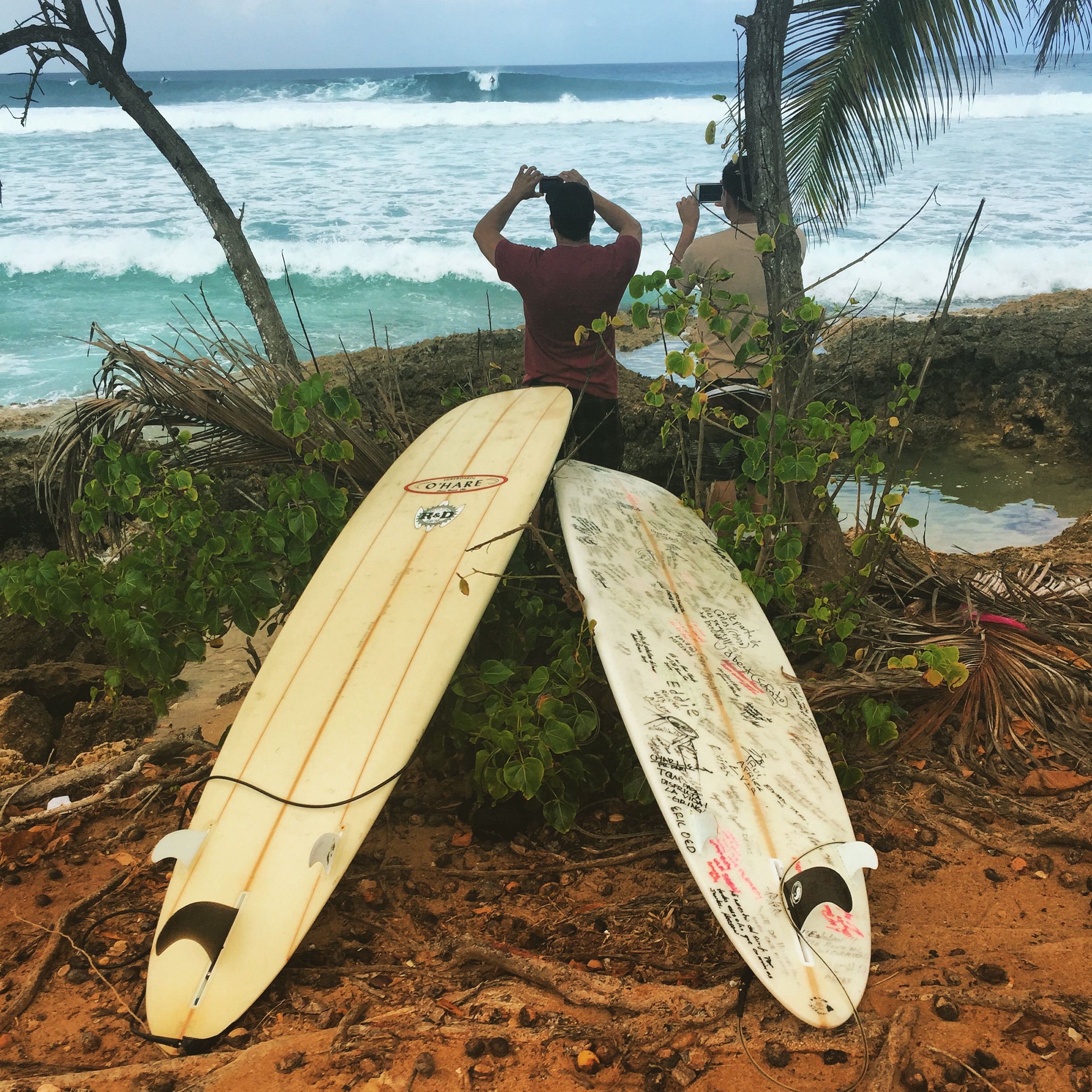 Surf Guide: Rincon and Aguadilla, Puerto Rico - Surf Mei Mei
